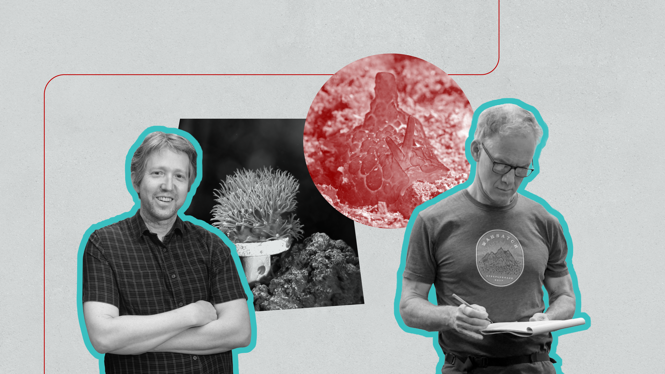 Collage with two researchers, Eric Schmidt and Chris Hill, in a laboratory environment, with imagery of aquatic biological samples.