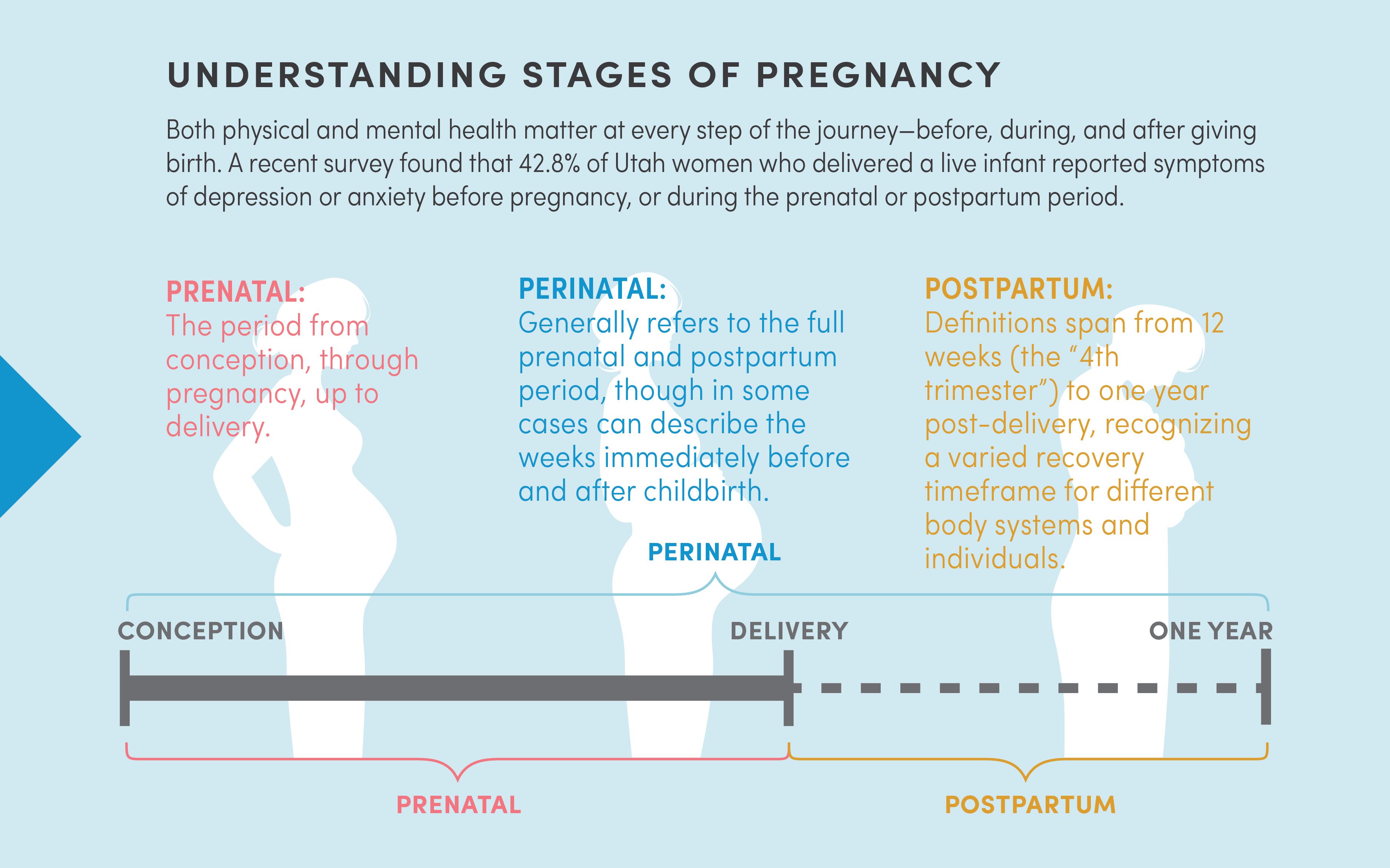 Infographic explaining the three stages of pregnancy: prenatal, perinatal, and postpartum. The purpose of this infographic is to illustrate that pregnancy is more than the 9 months preceding childbirth, but the full process of recovery for each birthing individual.