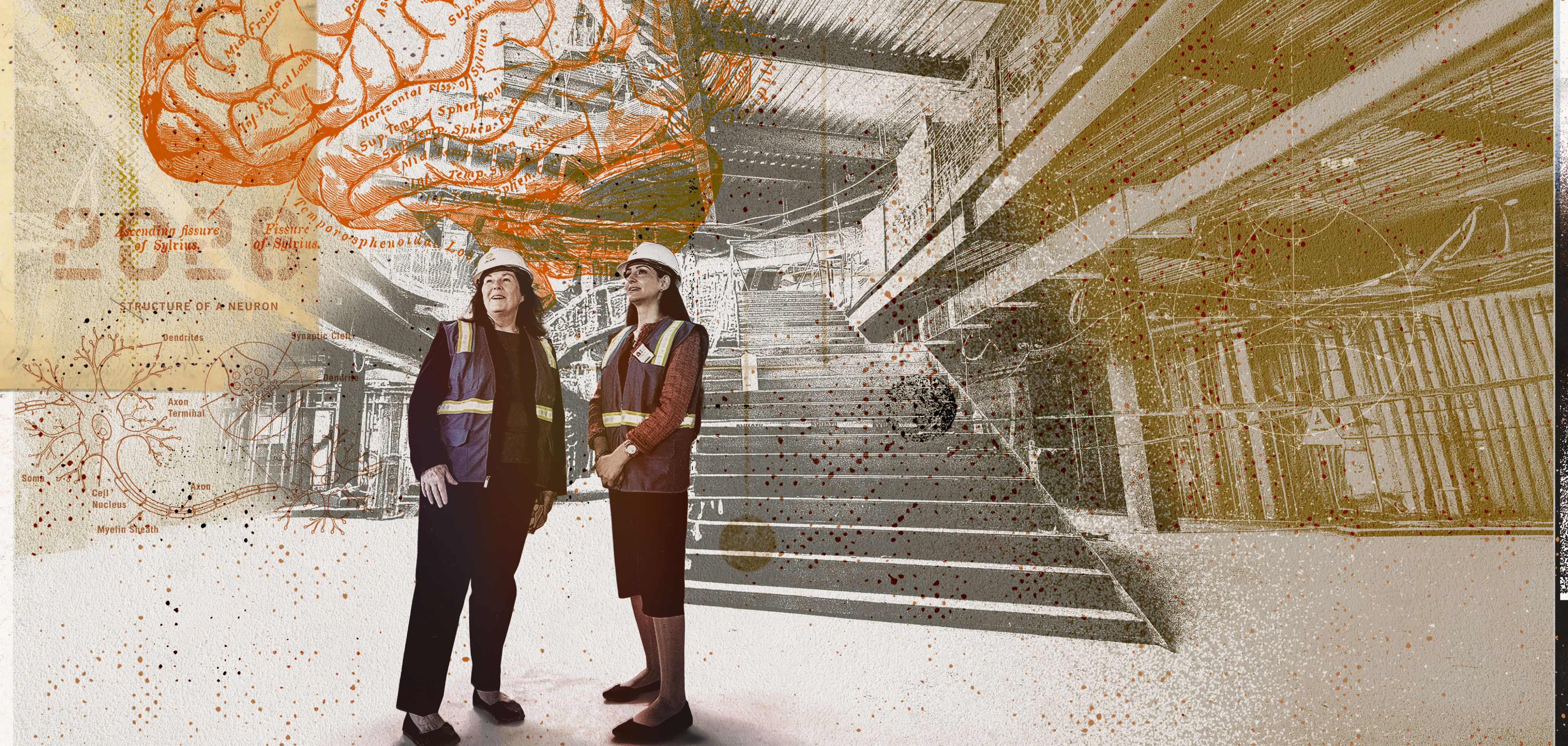 Photo of Deborah Yurgelun-Todd, PhD, and Rana Jawish, MD envision the possibilities inside the Translational Research Building, scheduled to open in 2027. 